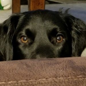 Meet your Posher, Stacey